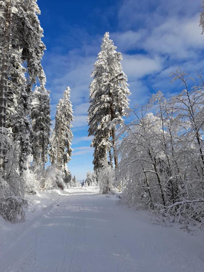 Dorfidylle - Thueringer Wald Rennsteig