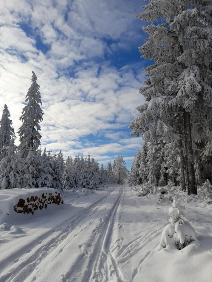 Dorfidylle - Thueringer Wald Rennsteig *